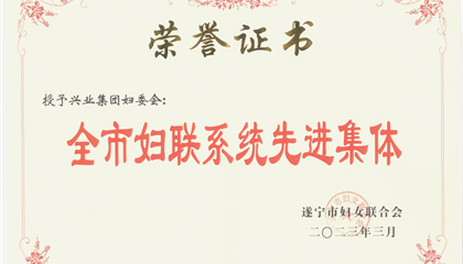 喜報(bào)！興業(yè)集團(tuán)婦委會(huì)榮獲“全市婦聯(lián)系統(tǒng)先進(jìn)集體”榮譽(yù)稱號(hào)