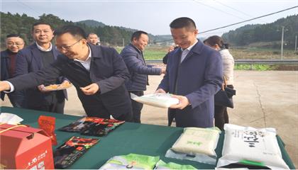 市委常委、政法委書記劉波濤帶隊調(diào)研指導(dǎo)定點幫扶村鄉(xiāng)村振興工作